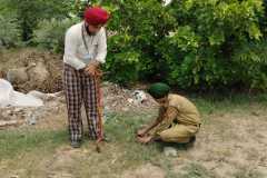 TREE PLANTATION 